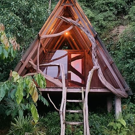 Hotel Jungle Roots Glamping Tena Exterior foto