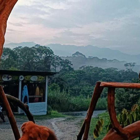 Hotel Jungle Roots Glamping Tena Exterior foto