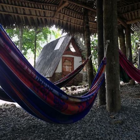 Hotel Jungle Roots Glamping Tena Exterior foto