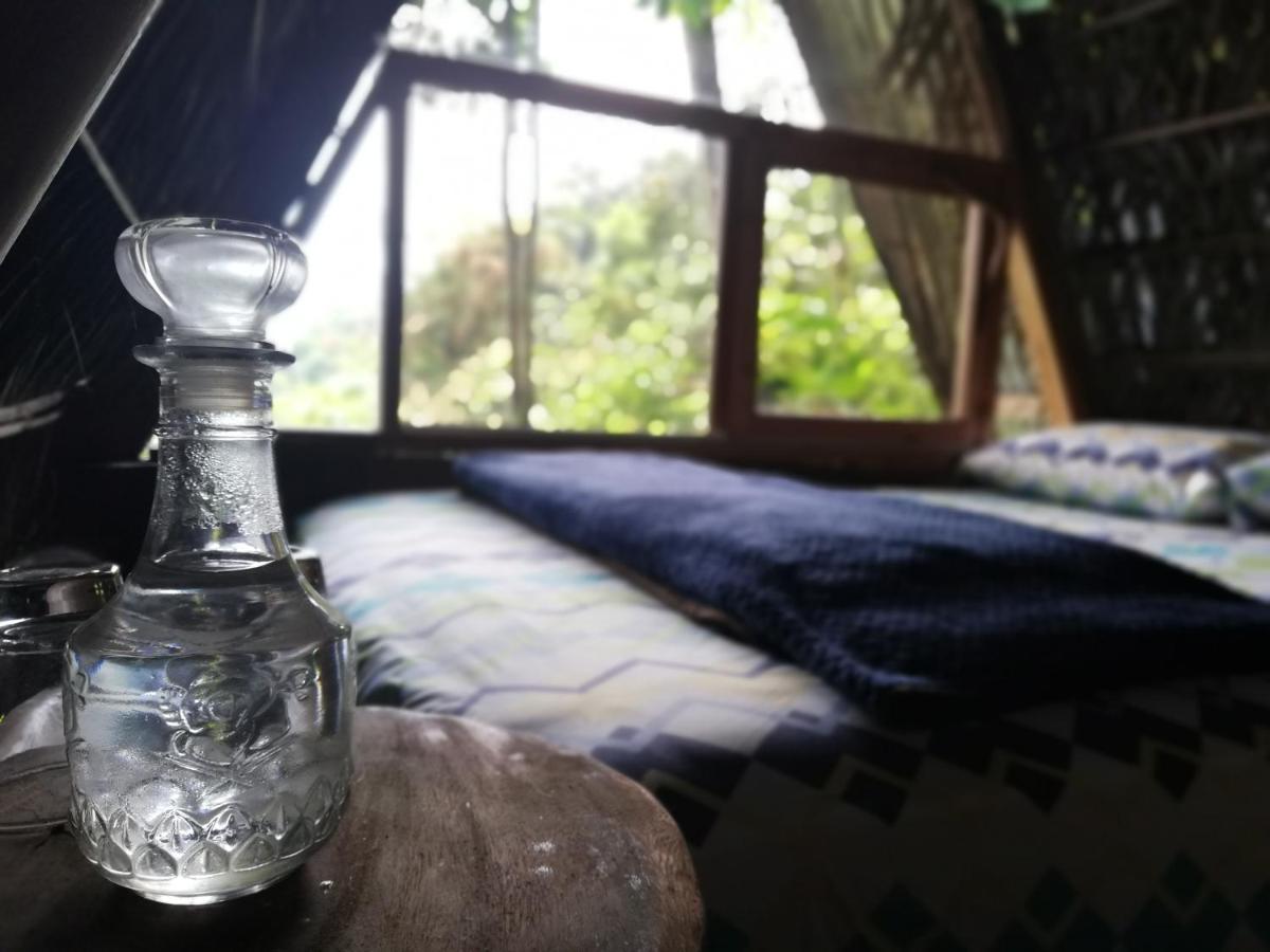 Hotel Jungle Roots Glamping Tena Exterior foto