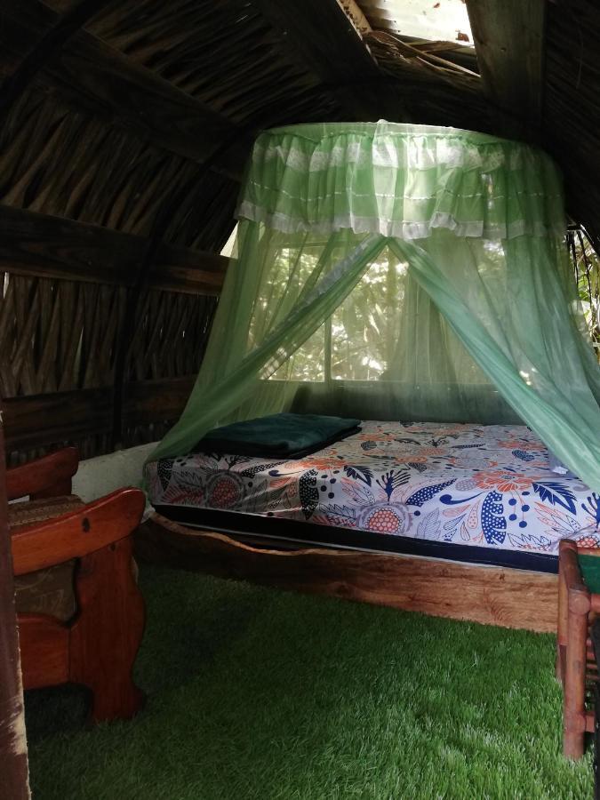 Hotel Jungle Roots Glamping Tena Exterior foto