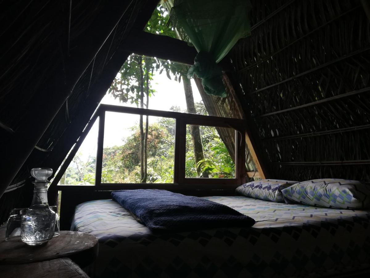 Hotel Jungle Roots Glamping Tena Exterior foto