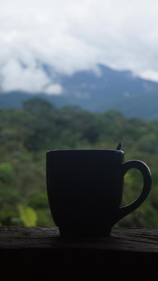Hotel Jungle Roots Glamping Tena Exterior foto