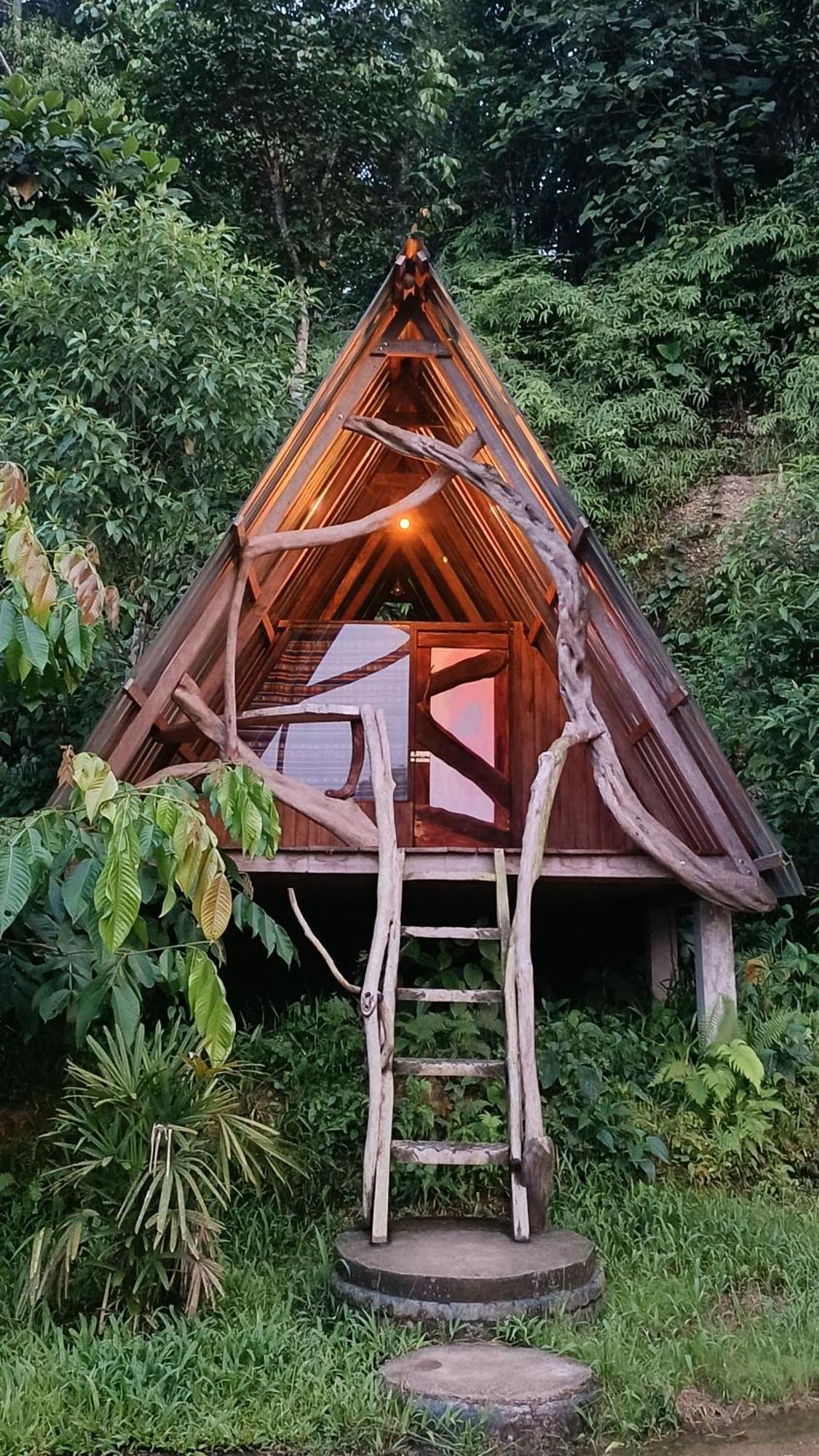 Hotel Jungle Roots Glamping Tena Exterior foto