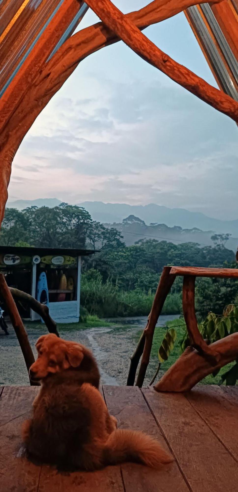 Hotel Jungle Roots Glamping Tena Exterior foto