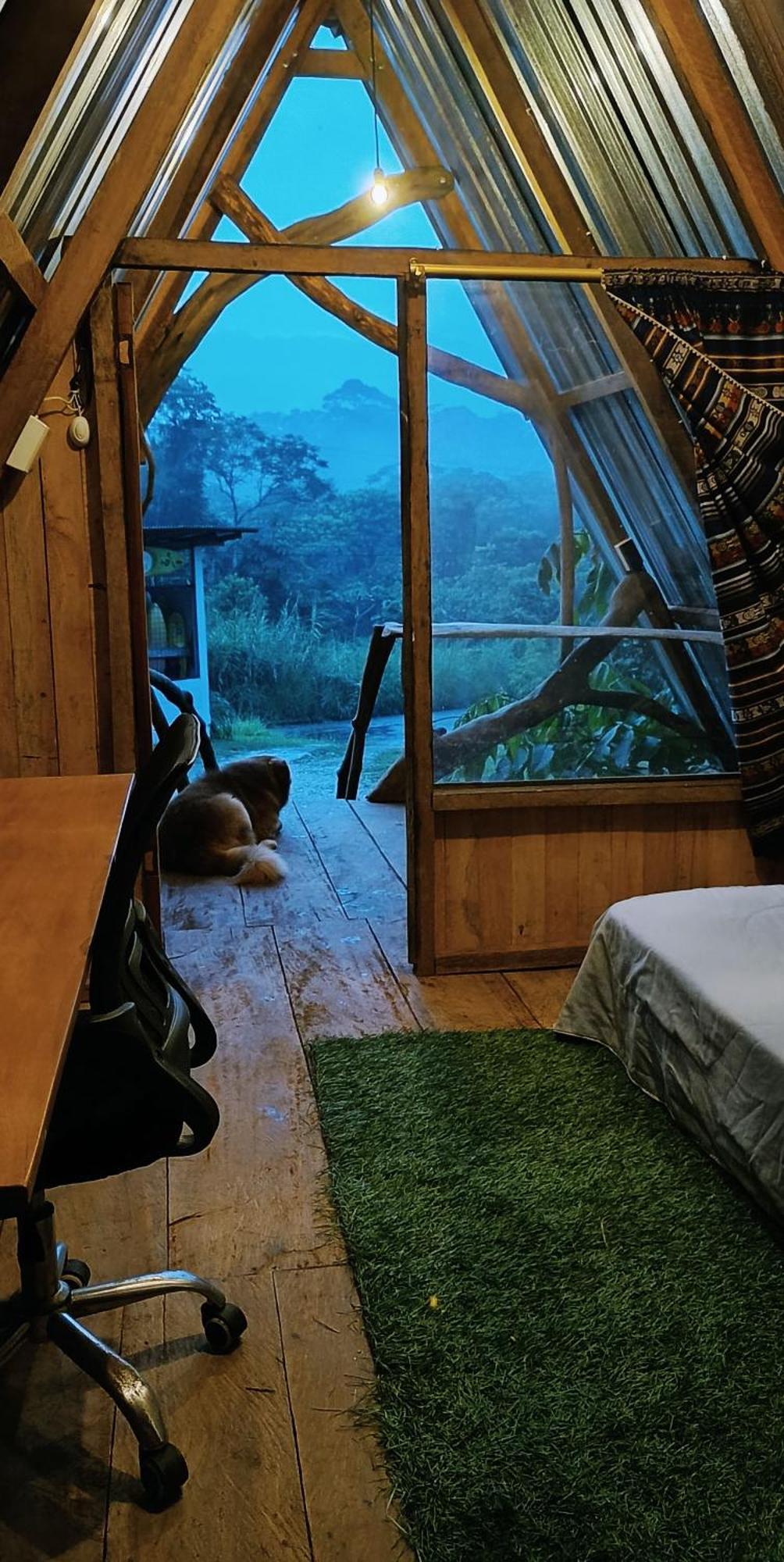 Hotel Jungle Roots Glamping Tena Zimmer foto