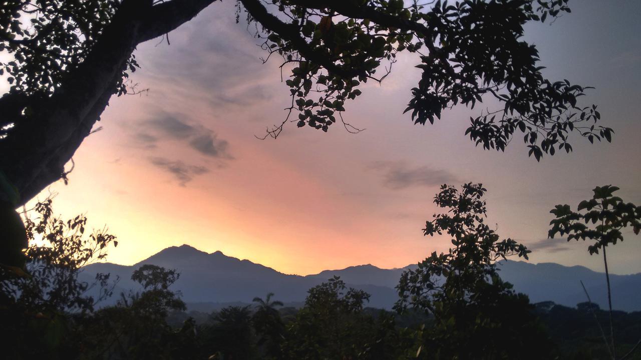 Hotel Jungle Roots Glamping Tena Exterior foto