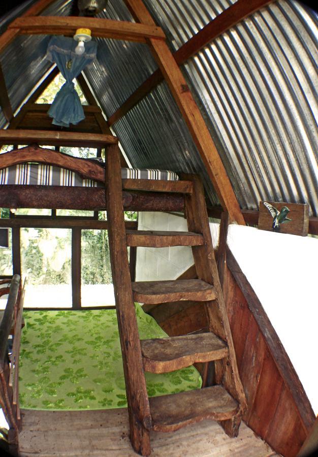 Hotel Jungle Roots Glamping Tena Exterior foto