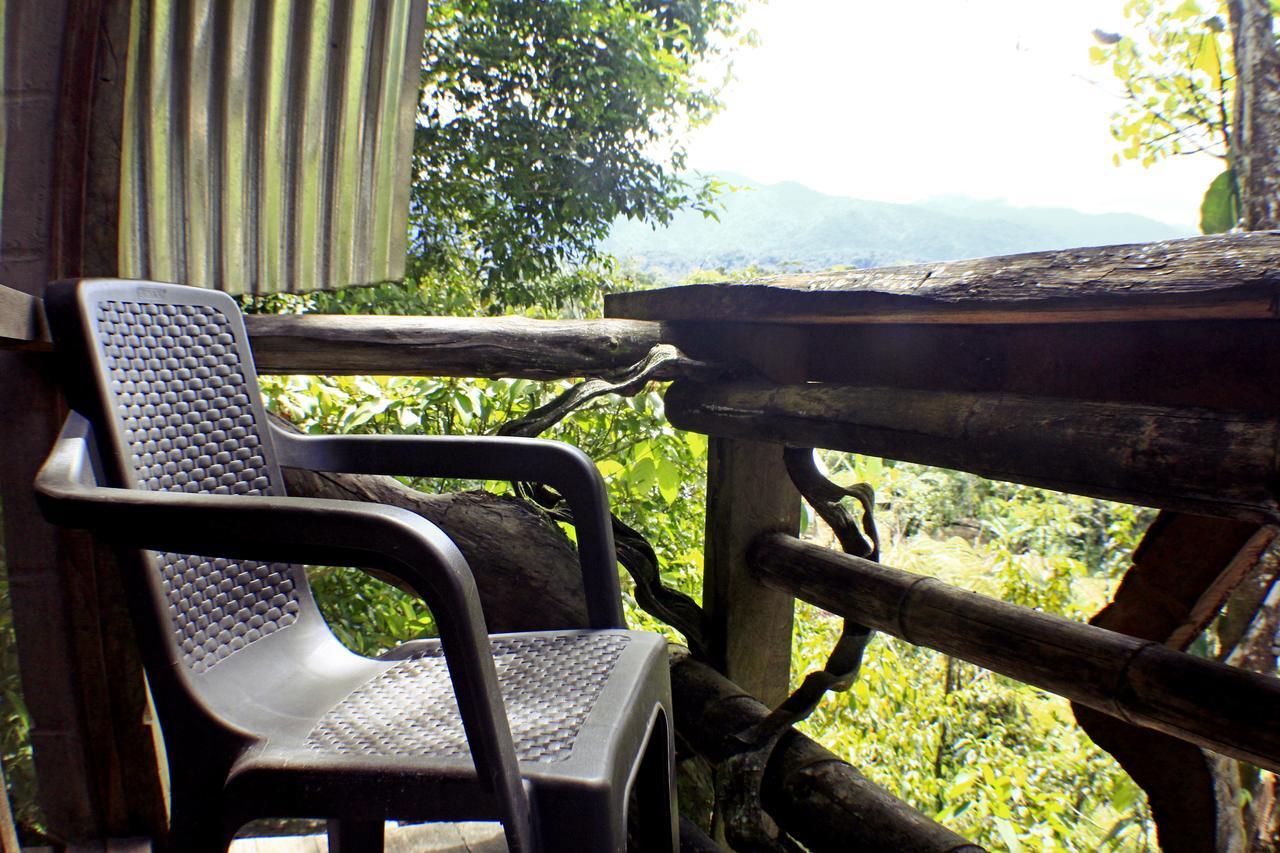 Hotel Jungle Roots Glamping Tena Exterior foto