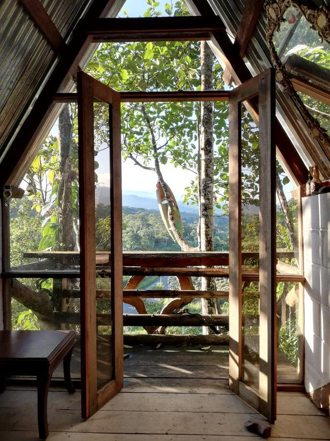 Hotel Jungle Roots Glamping Tena Exterior foto