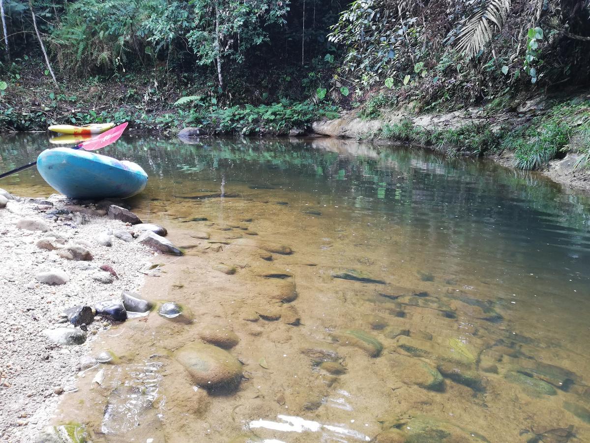 Hotel Jungle Roots Glamping Tena Exterior foto