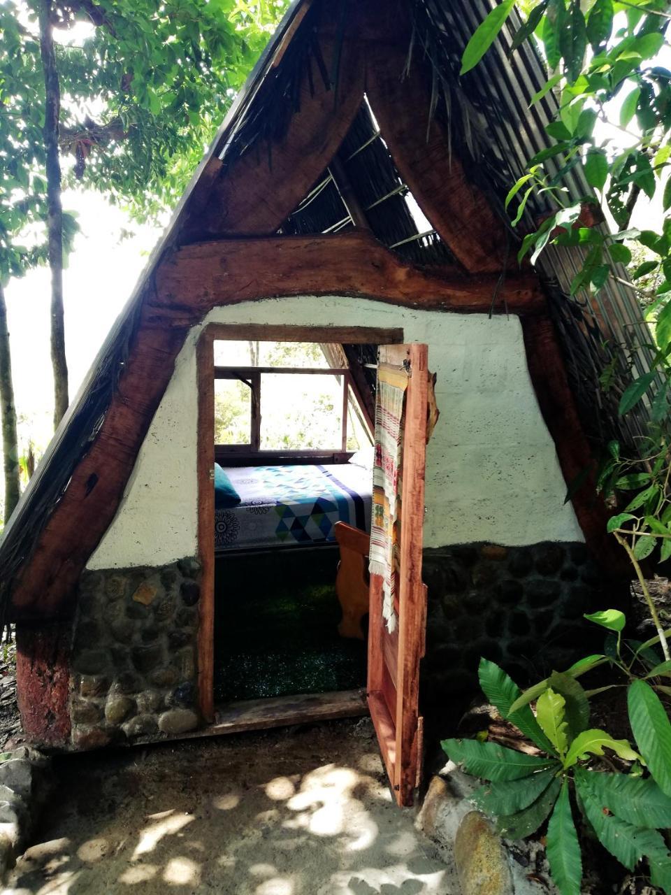 Hotel Jungle Roots Glamping Tena Exterior foto