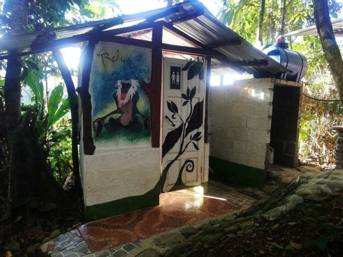 Hotel Jungle Roots Glamping Tena Exterior foto
