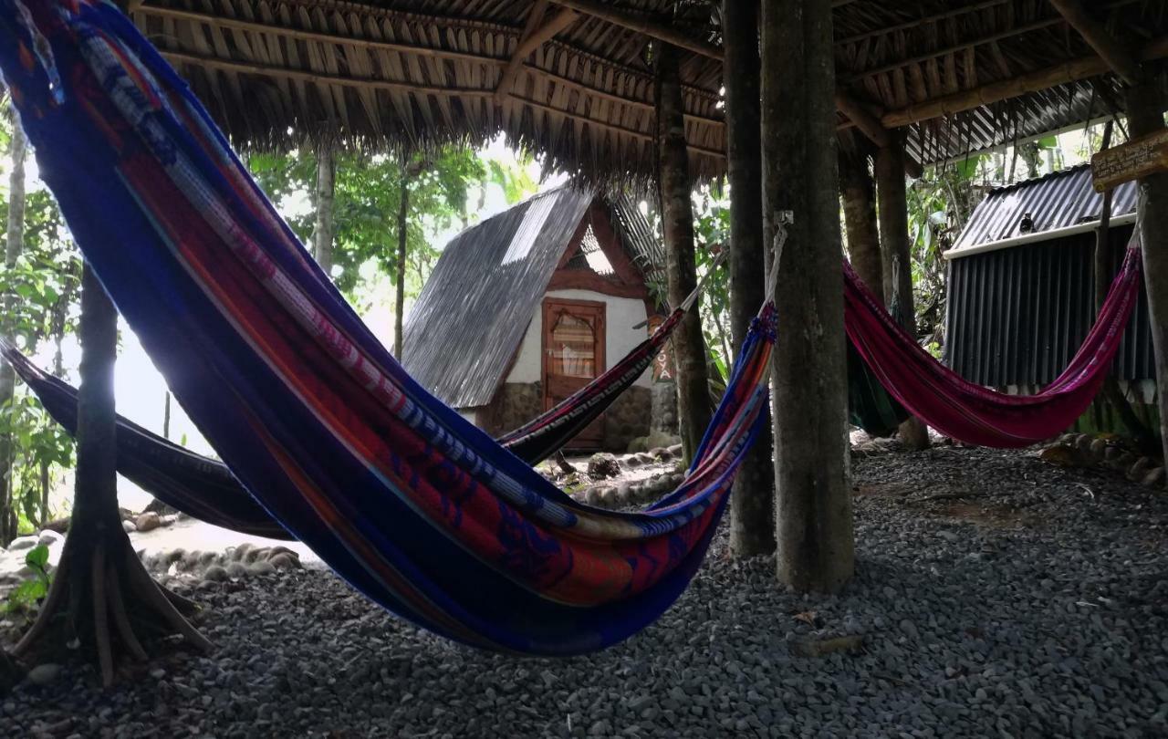 Hotel Jungle Roots Glamping Tena Exterior foto