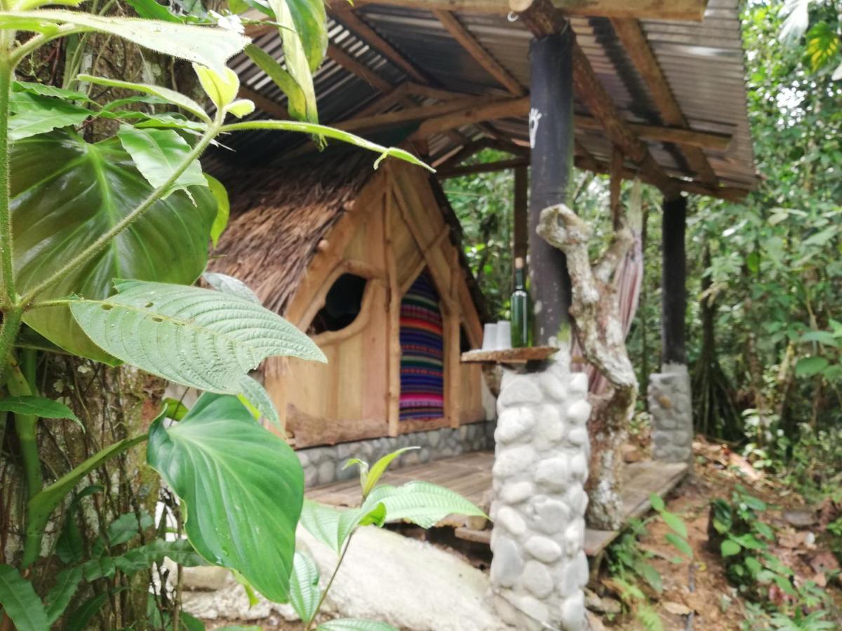 Hotel Jungle Roots Glamping Tena Exterior foto