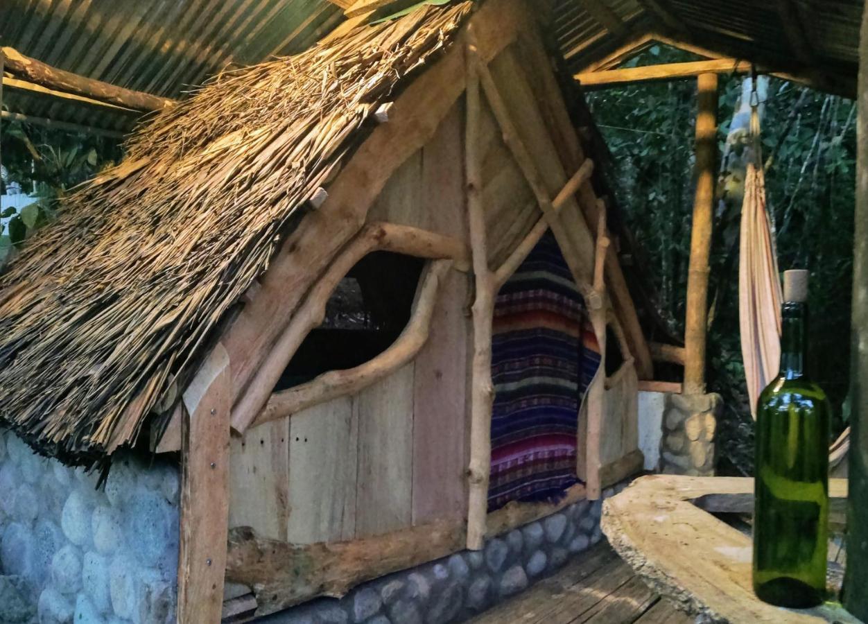 Hotel Jungle Roots Glamping Tena Exterior foto