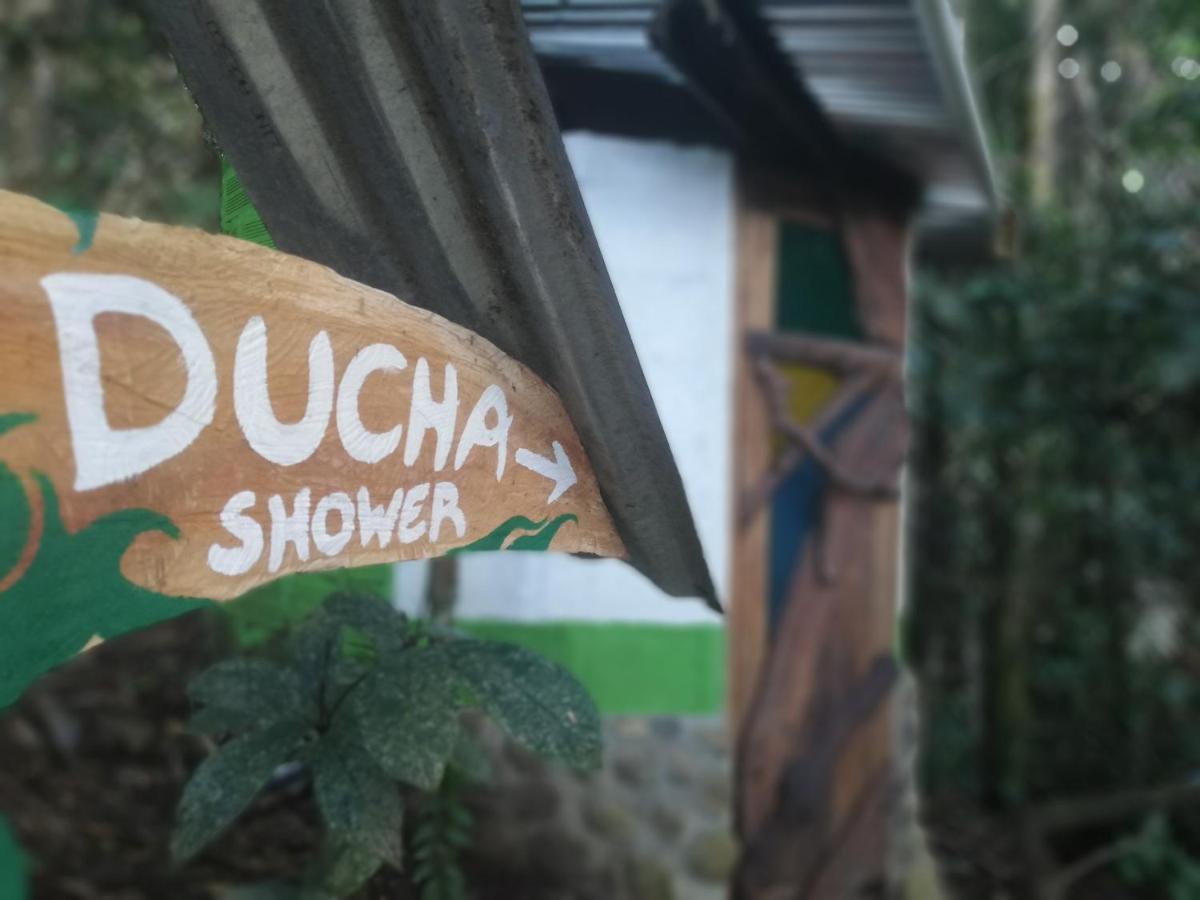 Hotel Jungle Roots Glamping Tena Exterior foto